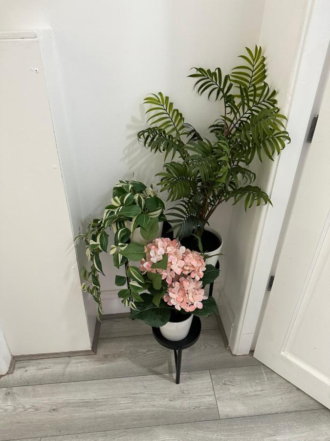 2 Bedroom Flat Close To City, Stadium And Coop Arena *
